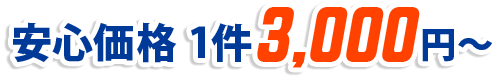 安心価格1点3000円～